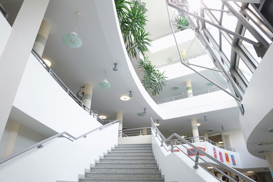 Helles Treppenhaus mit Pflanzen Helles Treppenhaus mit Pflanzen