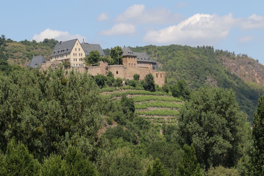 Blick auf die Ebernburg Blick auf die Ebernburg