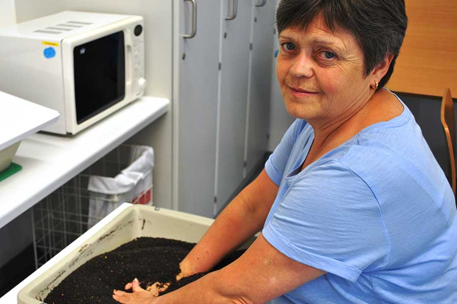 Valentina Wolf hat die Hände in einem Rapsbad Valentina Wolf hat die Hände in einem Rapsbad